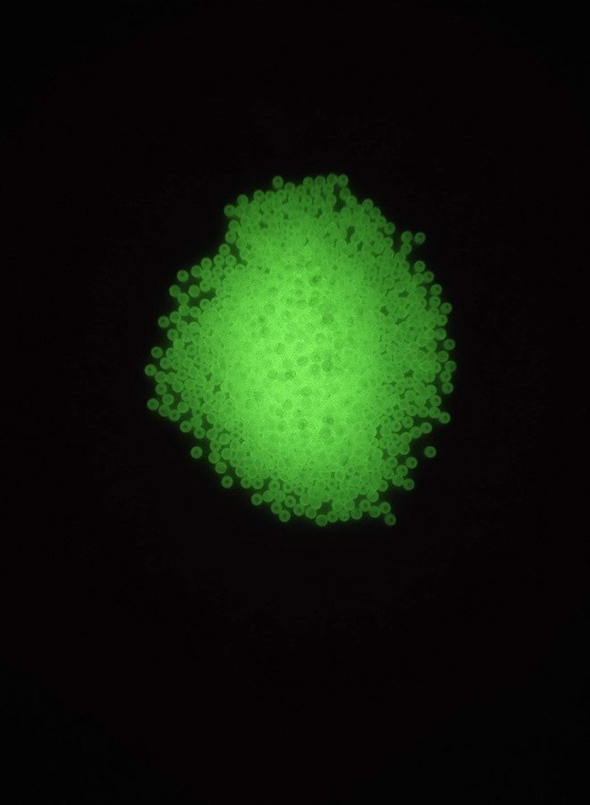 JASH Night Glow Beads(Small) Green Colour 50gm - Image 4